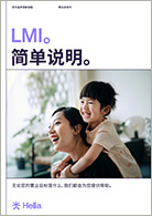 LMI 情况说明 
